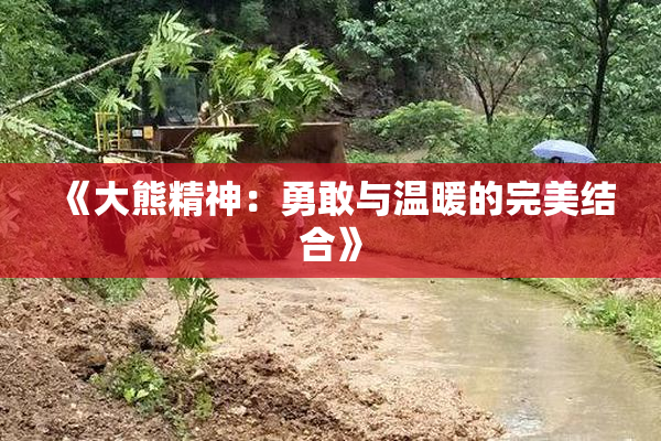 《大熊精神：勇敢与温暖的完美结合》