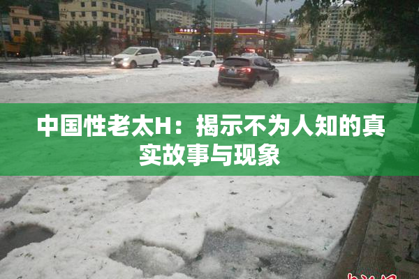 中国性老太H：揭示不为人知的真实故事与现象