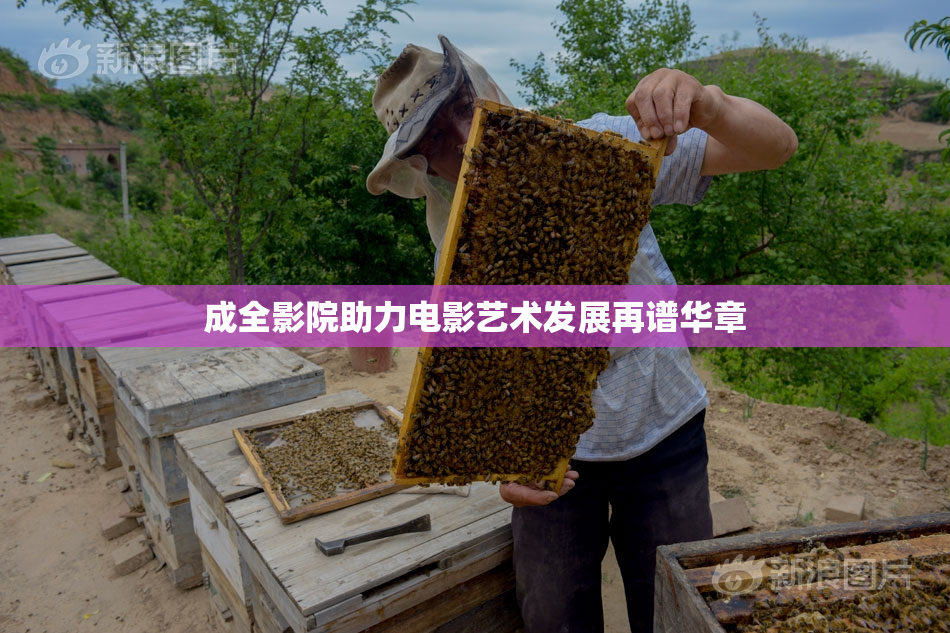 成全影院助力电影艺术发展再谱华章