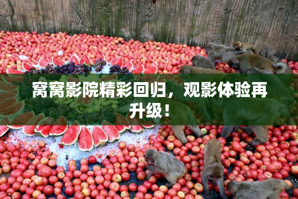 窝窝影院精彩回归，观影体验再升级！