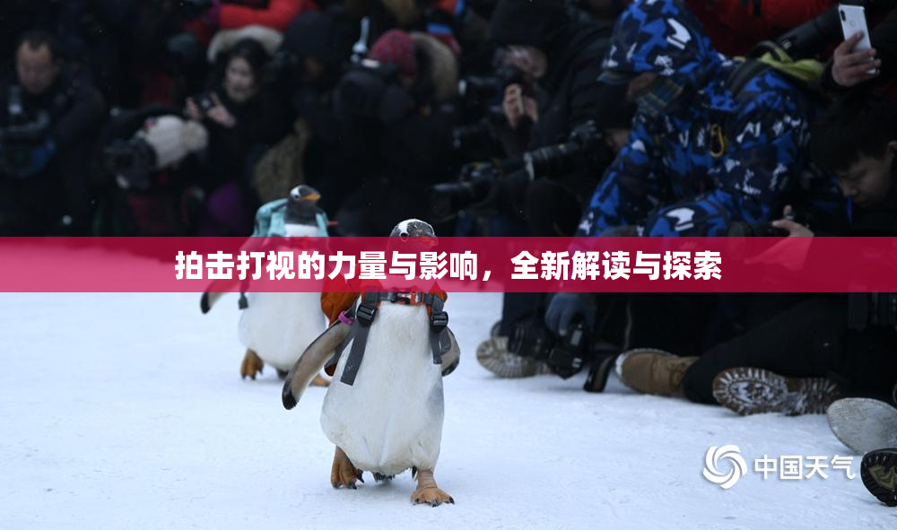 拍击打视的力量与影响，全新解读与探索