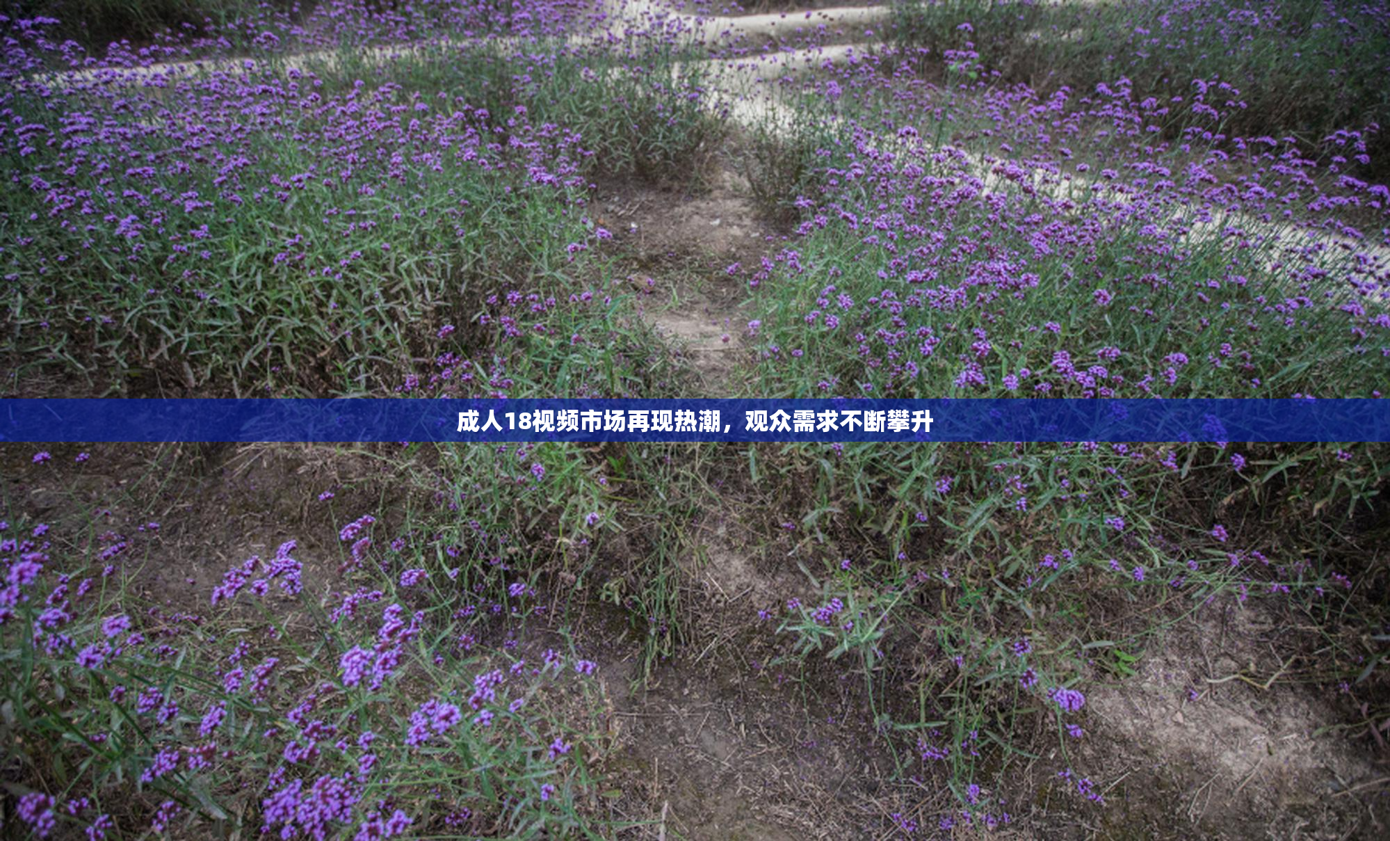 成人18视频市场再现热潮，观众需求不断攀升