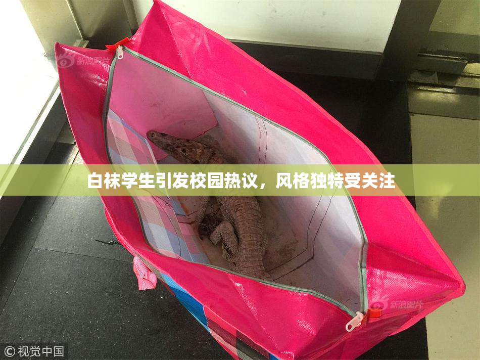 白袜学生引发校园热议，风格独特受关注