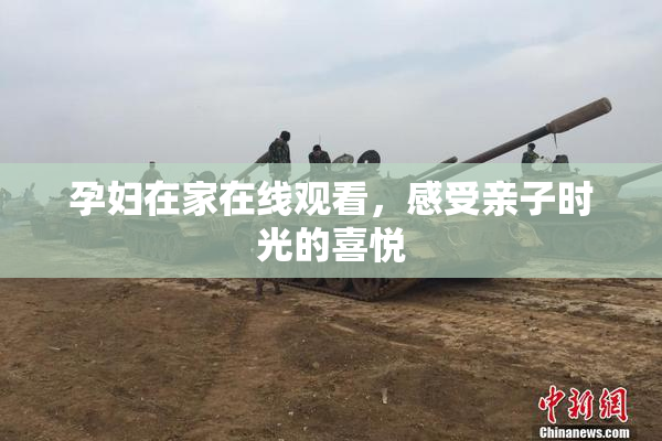 孕妇在家在线观看，感受亲子时光的喜悦