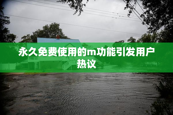 永久免费使用的m功能引发用户热议