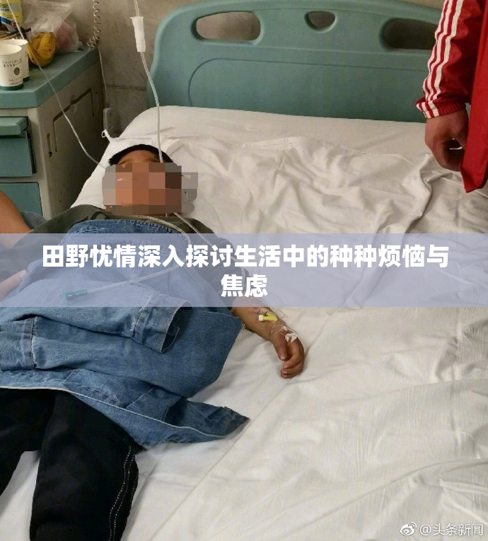田野忧情深入探讨生活中的种种烦恼与焦虑