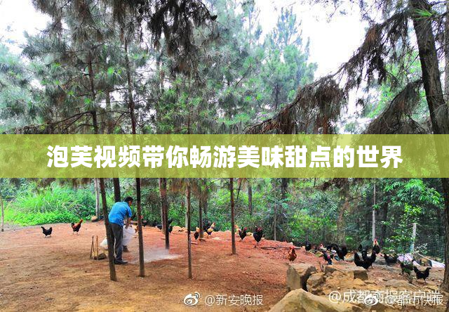泡芙视频带你畅游美味甜点的世界