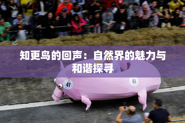 知更鸟的回声：自然界的魅力与和谐探寻