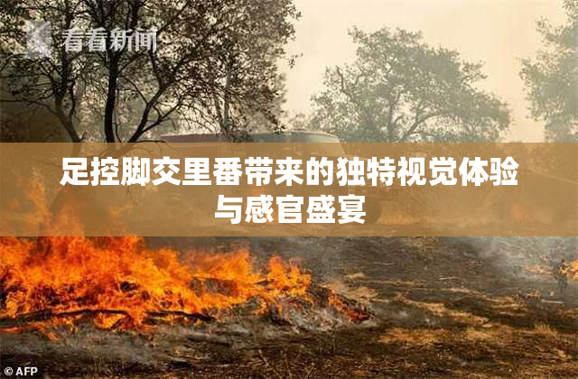 足控脚交里番带来的独特视觉体验与感官盛宴
