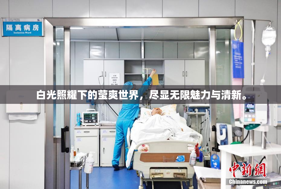 白光照耀下的莹爽世界，尽显无限魅力与清新。