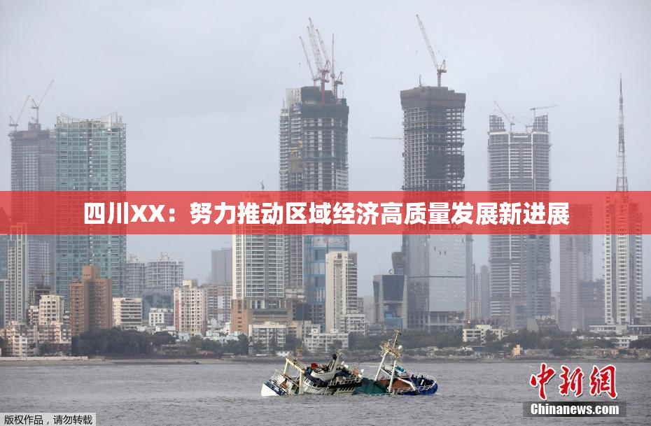 四川XX：努力推动区域经济高质量发展新进展