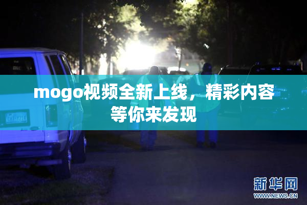 mogo视频全新上线，精彩内容等你来发现