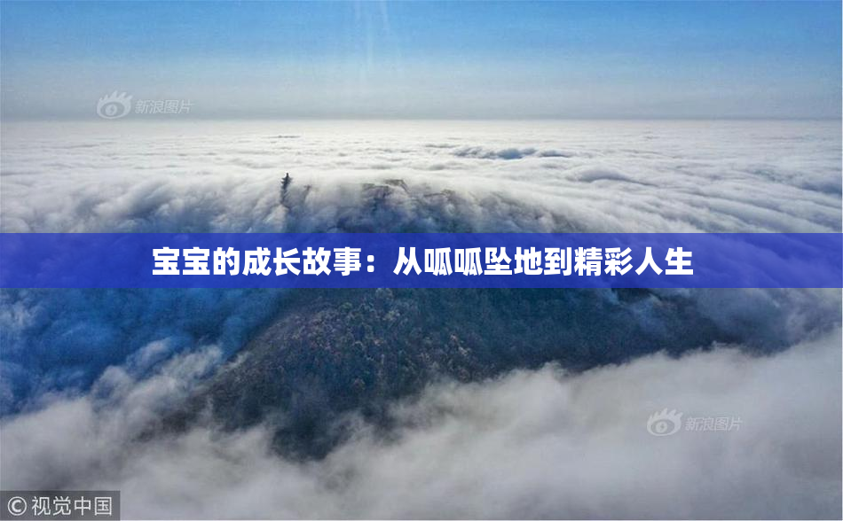 宝宝的成长故事：从呱呱坠地到精彩人生