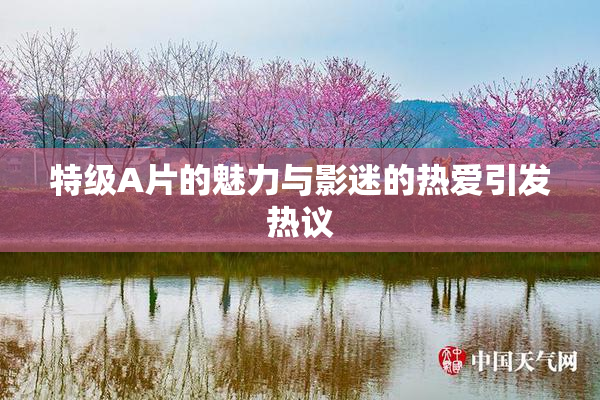 特级A片的魅力与影迷的热爱引发热议