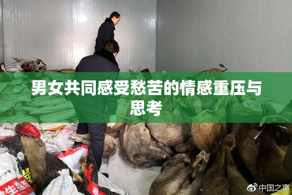 男女共同感受愁苦的情感重压与思考