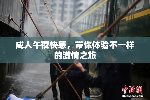 成人午夜快感，带你体验不一样的激情之旅
