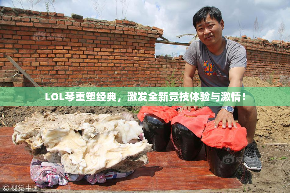 LOL琴重塑经典，激发全新竞技体验与激情！