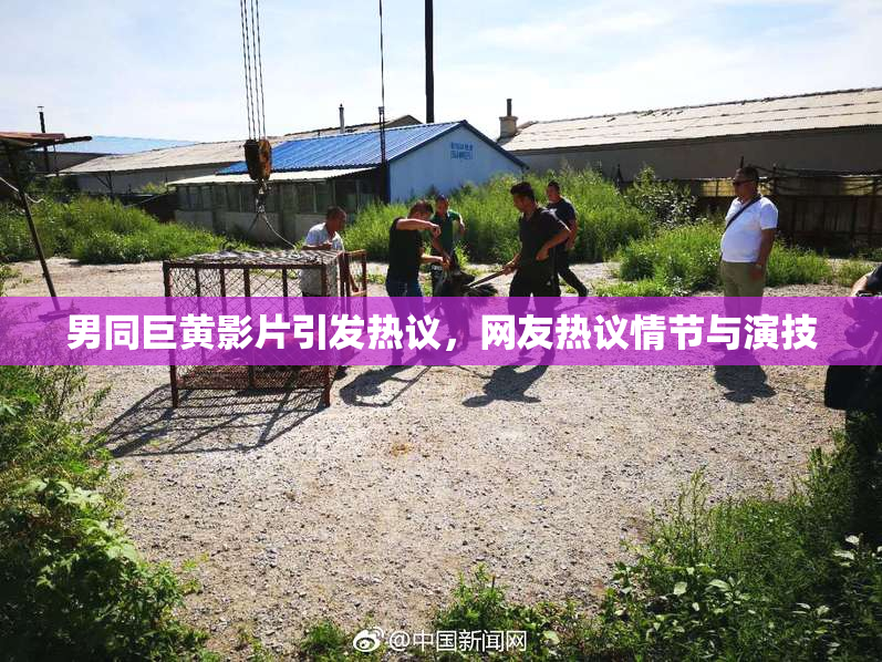 男同巨黄影片引发热议，网友热议情节与演技