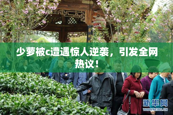 少萝被c遭遇惊人逆袭，引发全网热议！
