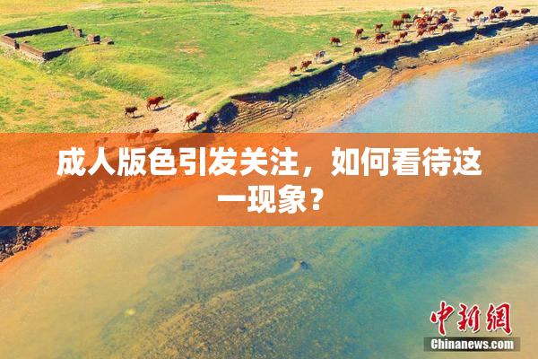 成人版色引发关注，如何看待这一现象？