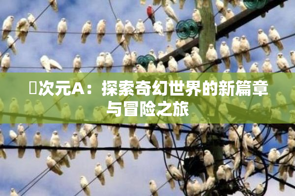 囧次元A：探索奇幻世界的新篇章与冒险之旅