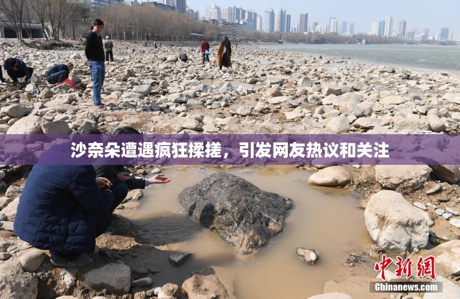 沙奈朵遭遇疯狂揉搓，引发网友热议和关注