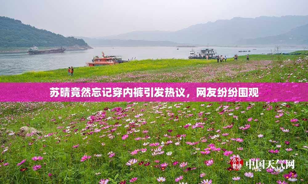 苏晴竟然忘记穿内裤引发热议，网友纷纷围观