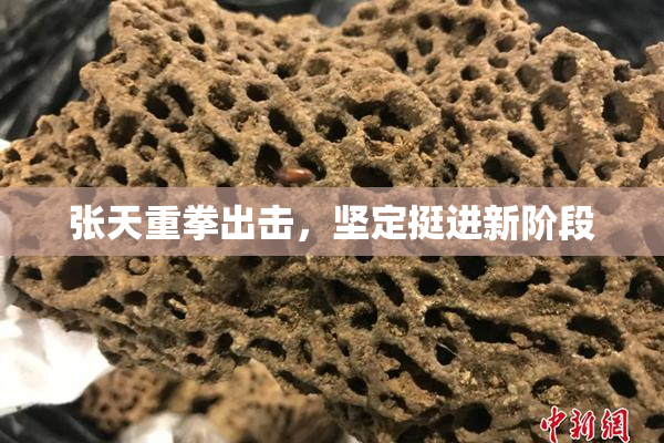 张天重拳出击，坚定挺进新阶段