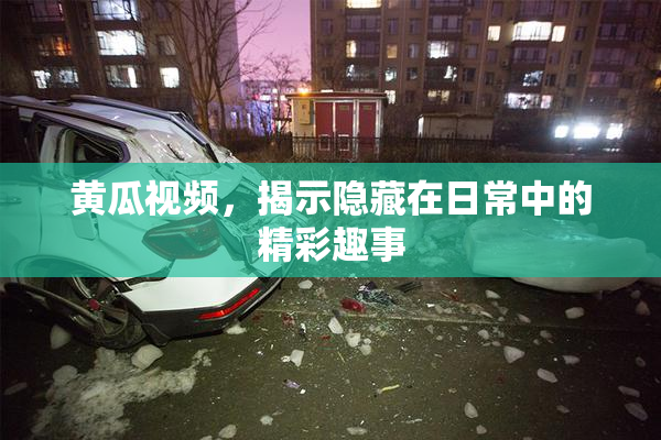 黄瓜视频，揭示隐藏在日常中的精彩趣事