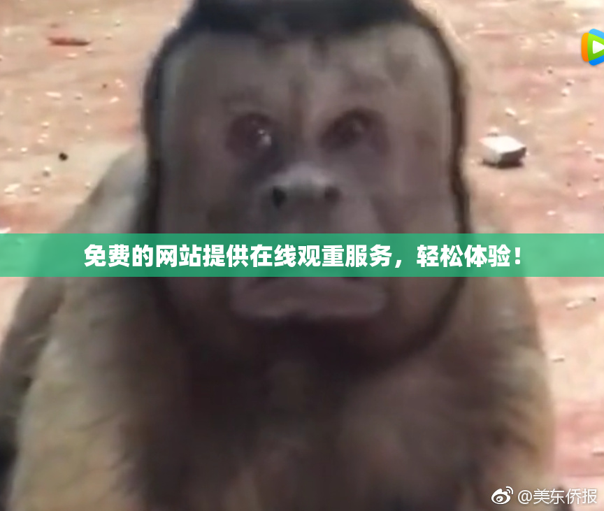 免费的网站提供在线观重服务，轻松体验！