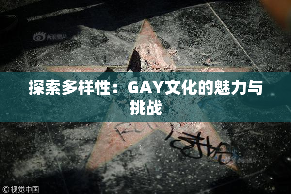 探索多样性：GAY文化的魅力与挑战