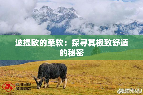 波提欧的柔软：探寻其极致舒适的秘密