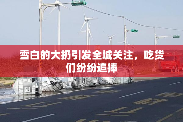 雪白的大扔引发全城关注，吃货们纷纷追捧