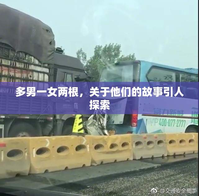 多男一女两根，关于他们的故事引人探索