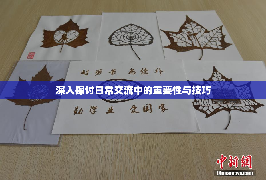 深入探讨日常交流中的重要性与技巧