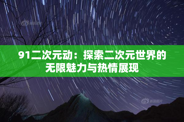 91二次元动：探索二次元世界的无限魅力与热情展现