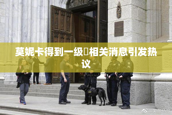 莫妮卡得到一级婬相关消息引发热议