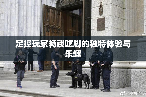 足控玩家畅谈吃脚的独特体验与乐趣