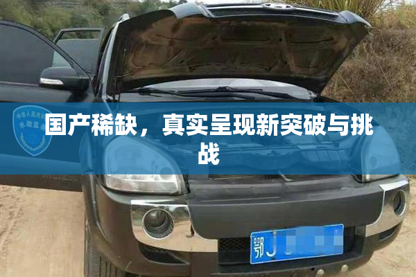 国产稀缺，真实呈现新突破与挑战
