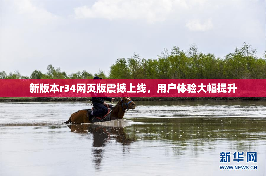 新版本r34网页版震撼上线，用户体验大幅提升