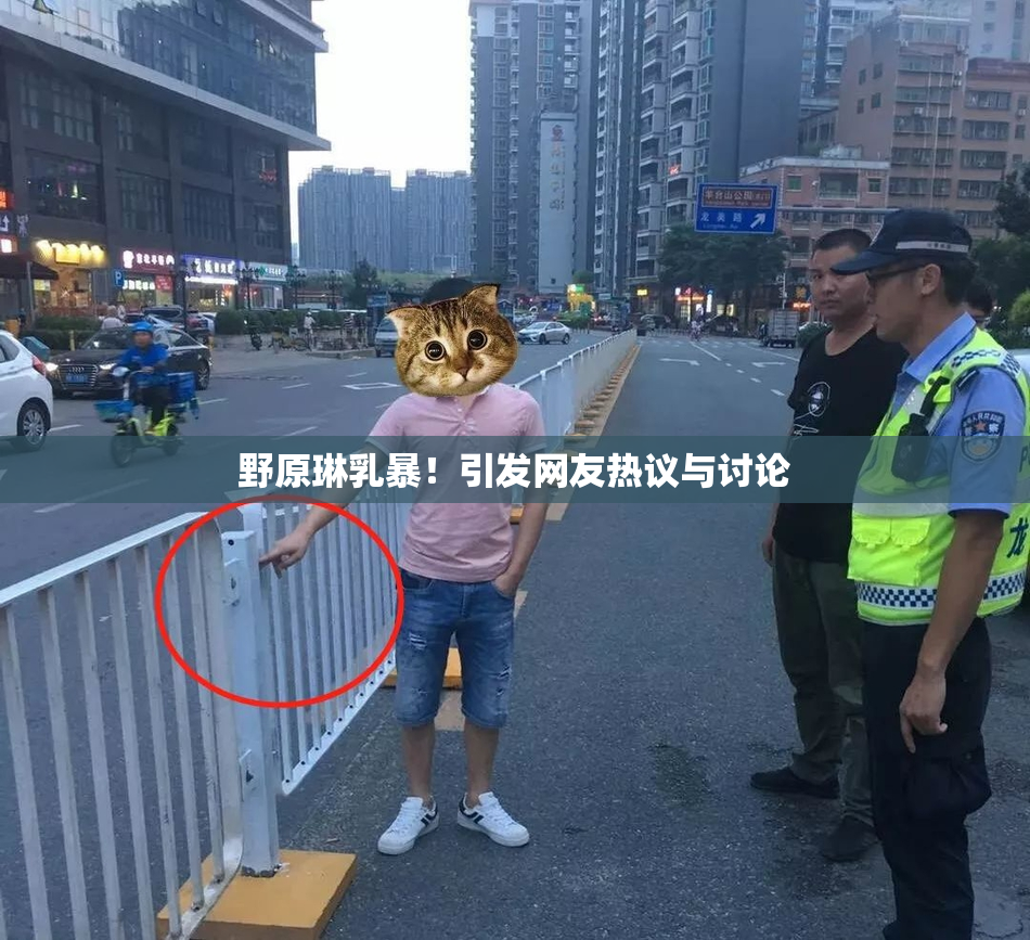 野原琳乳暴！引发网友热议与讨论