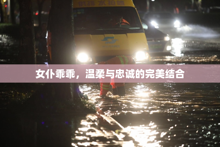 女仆乖乖，温柔与忠诚的完美结合