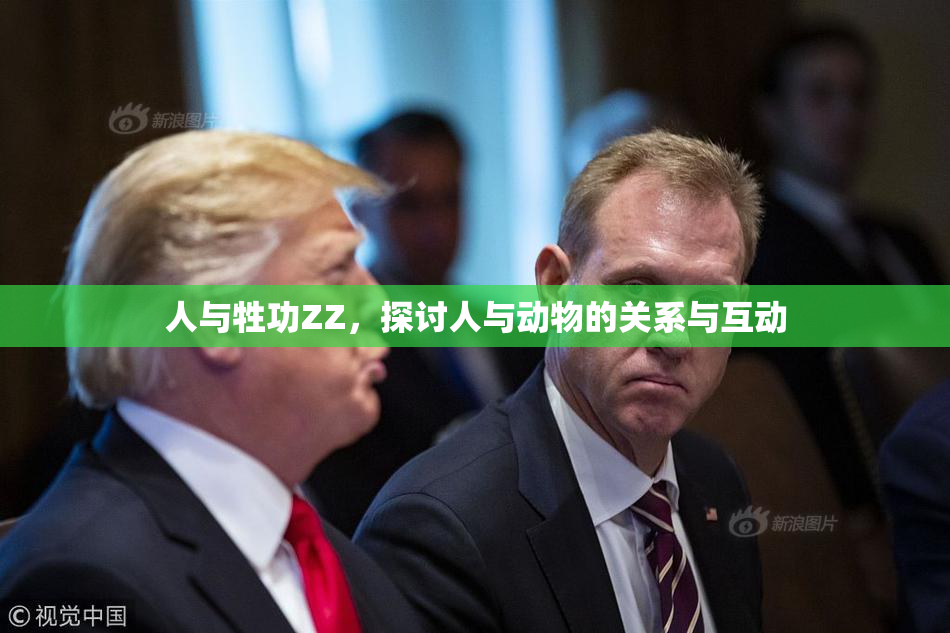 人与牲功ZZ，探讨人与动物的关系与互动