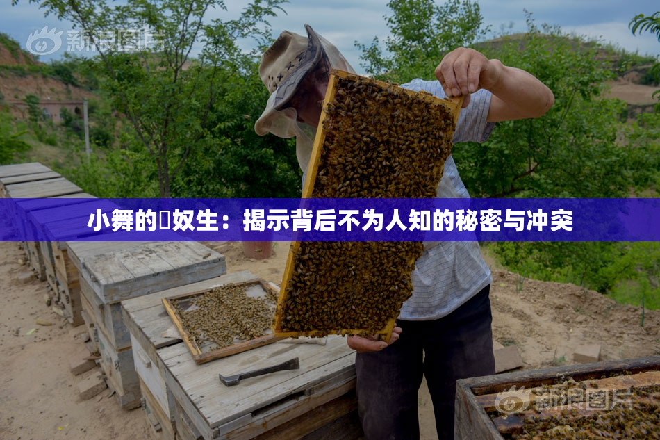 小舞的婬奴生：揭示背后不为人知的秘密与冲突