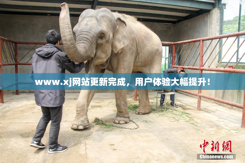 www.xj网站更新完成，用户体验大幅提升！