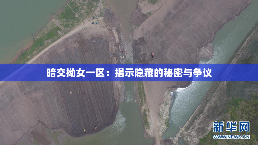 暗交拗女一区：揭示隐藏的秘密与争议