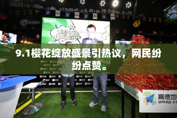 9.1樱花绽放盛景引热议，网民纷纷点赞。