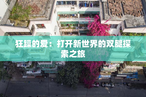 狂躁的爱：打开新世界的双腿探索之旅