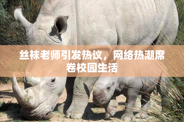 丝袜老师引发热议，网络热潮席卷校园生活