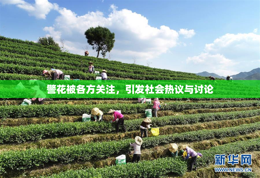 警花被各方关注，引发社会热议与讨论
